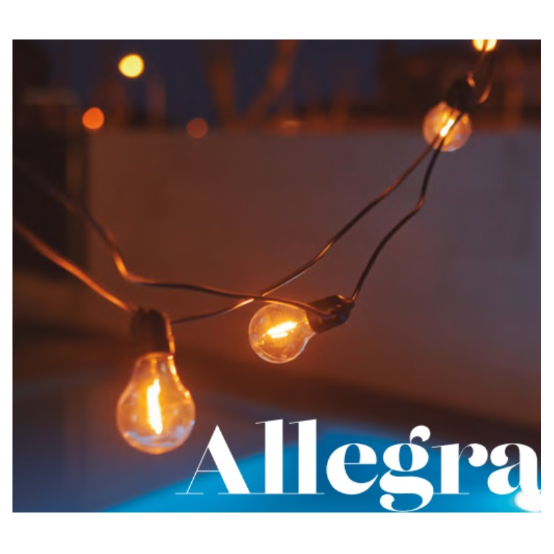 ALLEGRA Guirlande lumineuse d'extérieur 20 lumières LED 10m raccordable  avec télécommande Noir New Garden - LightOnline