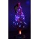 Sapin fibre optique