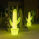 Cactus lumineux Design Kaktus