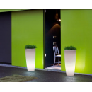 Pot couleur, lumineux Design Bambu