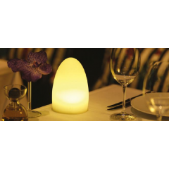 Centre de table lumineux multicolore rechargeable