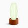 Cactus lumineux en polyéthylène Design Cactus