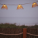 Lot de 3 guirlandes solaires et secteur Design Alma