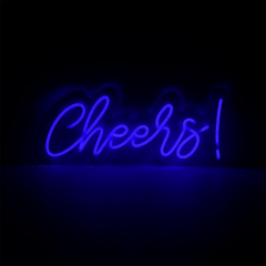 Luminaire néon acrylique Cheers, 58 cm IP20