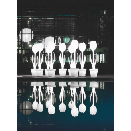 Tulip Lampe design