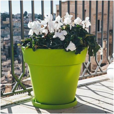 Vase rond en résine Design Gemma