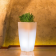 Vase cubique lumineux en résine Design Stilo