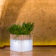 Jardinière lumineuse Design Cube