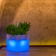 Jardinière lumineuse Design Cube