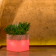 Jardinière lumineuse Design Cube