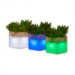 Jardinière lumineuse en résine Design Cube