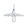 Suspension Design Ardle Blanc