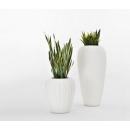 Vase Design Skin