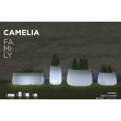 Camélia Family, pots et jarres lumineuses et solaires Led ou couleur