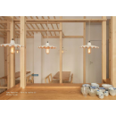 Suspension Design Ardle Orange